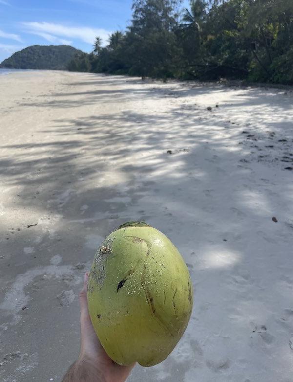 Coconut on 海滩